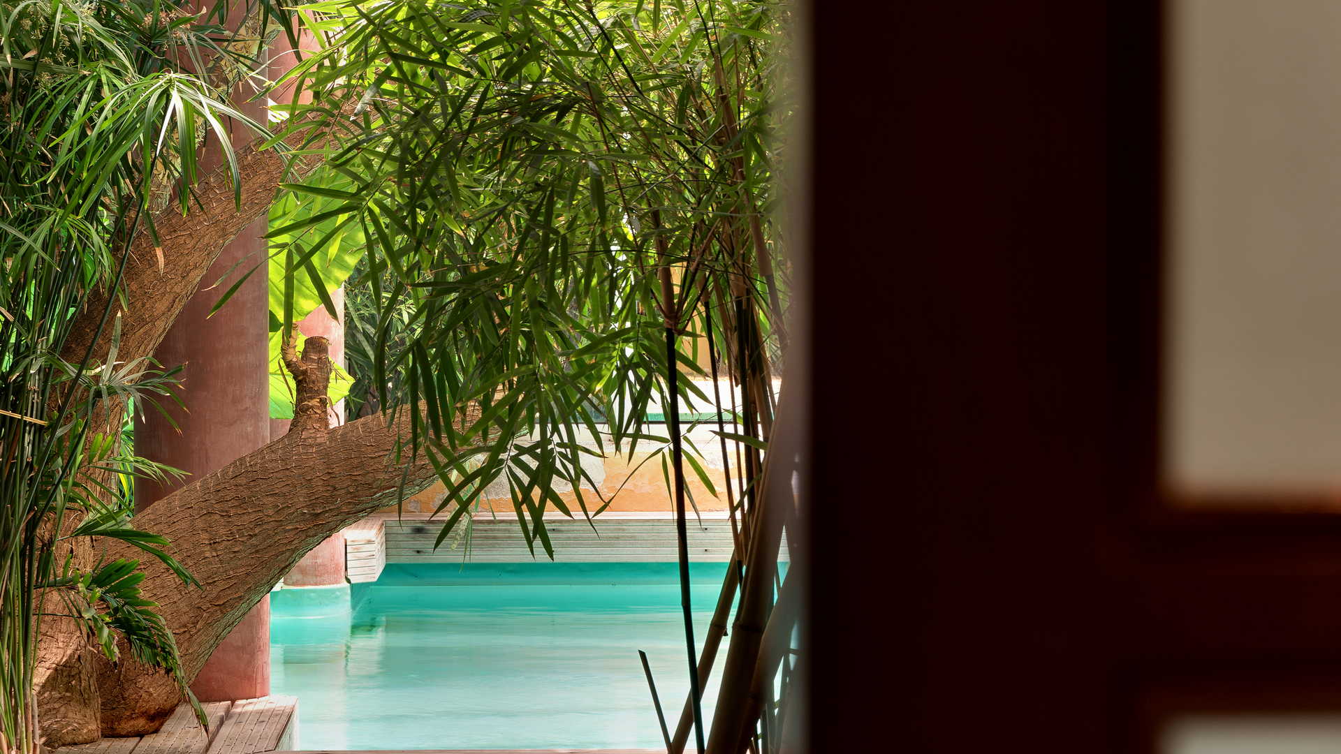 détail de la piscine avec bambous hôtel avec piscine proche de rodez et albi